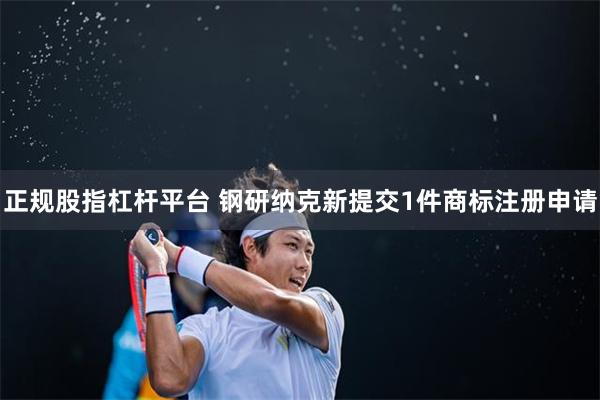 正规股指杠杆平台 钢研纳克新提交1件商标注册申请