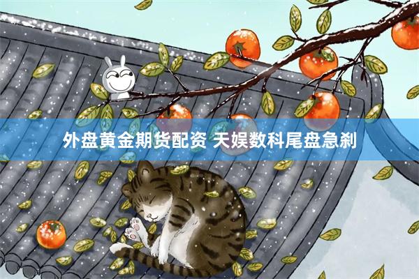 外盘黄金期货配资 天娱数科尾盘急刹