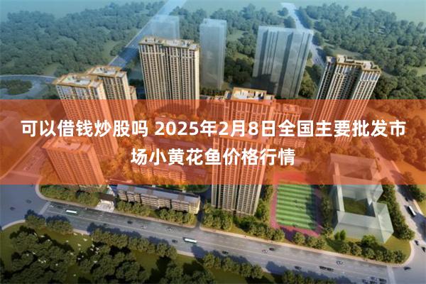 可以借钱炒股吗 2025年2月8日全国主要批发市场小黄花鱼价格行情