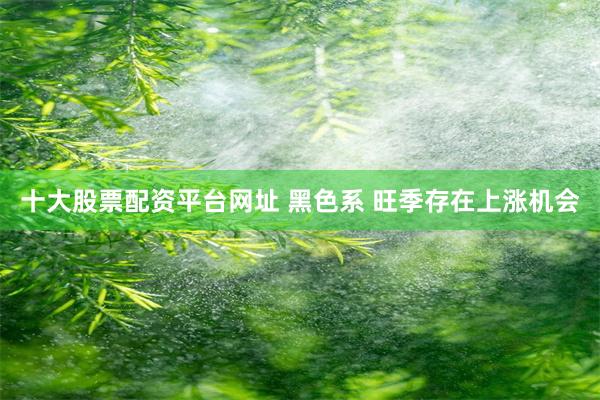 十大股票配资平台网址 黑色系 旺季存在上涨机会