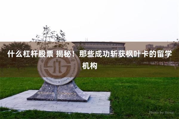 什么杠杆股票 揭秘！那些成功斩获枫叶卡的留学机构