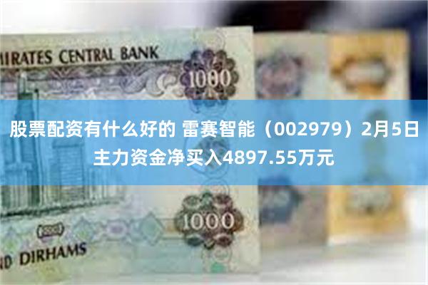 股票配资有什么好的 雷赛智能（002979）2月5日主力资金净买入4897.55万元