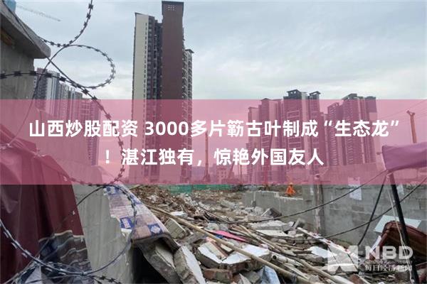 山西炒股配资 3000多片簕古叶制成“生态龙”！湛江独有，惊艳外国友人