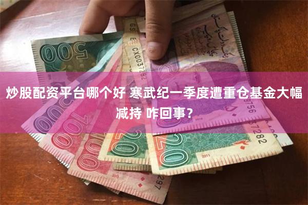 炒股配资平台哪个好 寒武纪一季度遭重仓基金大幅减持 咋回事？