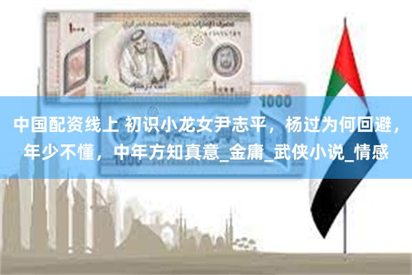 中国配资线上 初识小龙女尹志平，杨过为何回避，年少不懂，中年方知真意_金庸_武侠小说_情感