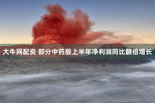 大牛网配资 部分中药股上半年净利润同比翻倍增长
