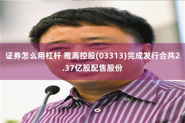证券怎么用杠杆 雅高控股(03313)完成发行合共2.37亿股配售股份