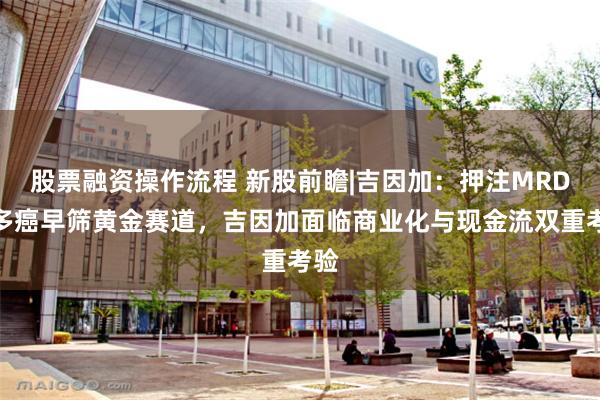股票融资操作流程 新股前瞻|吉因加：押注MRD与多癌早筛黄金赛道，吉因加面临商业化与现金流双重考验